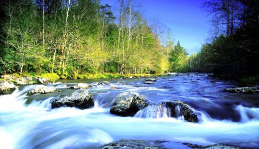 axxurit location toilettes autonomes NOS PRODUITS RESPECTENT L'ENVIRONNEMENT